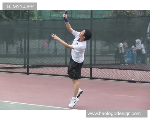 杨伟独家分享网球心得与技巧助你提升球技的全方位指南