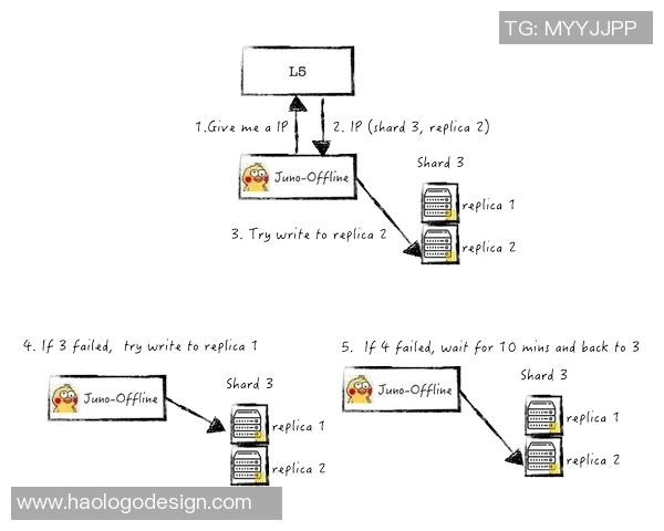 深圳网球队进攻革新之路探索与实践分析